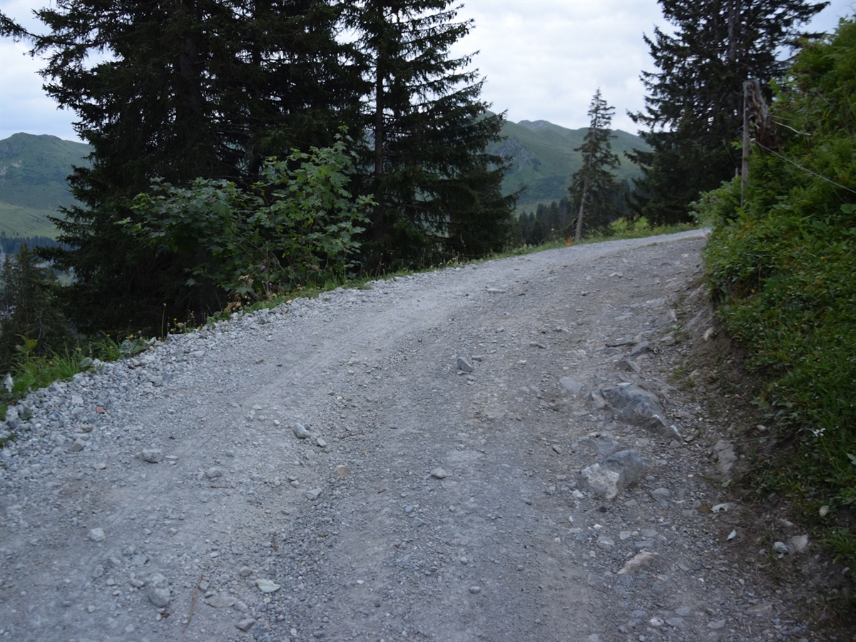 Die Alpstrasse am Tag. Rechts abgegrenzt durch eine ansteigende und links durch abfallende Böschung.