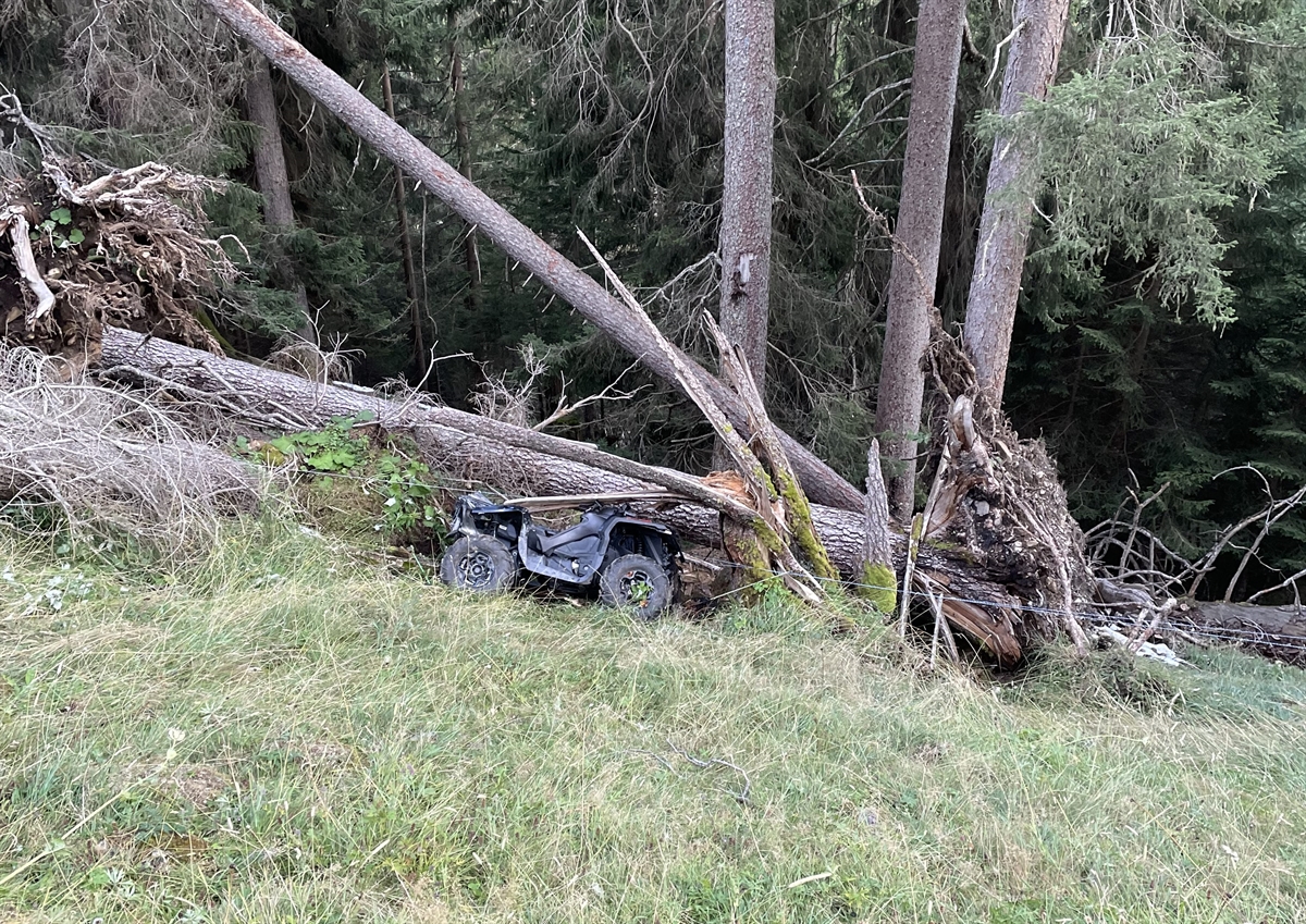 Quad unter Baumstämmen eingeklemmt