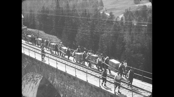 Der Schweizerische Nationalpark (1939)